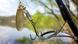 fishing rod fishing rod