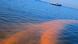 Цъфтеж на червени водорасли край Солун Цъфтеж на червени водорасли край Солун