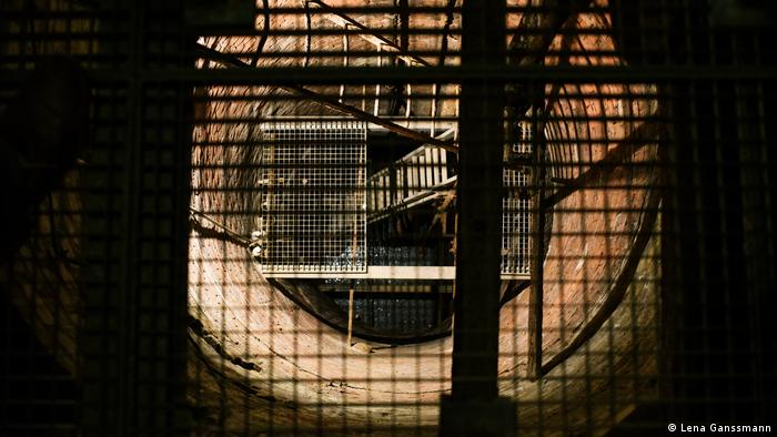 view through a grill in an underground sewer (Lena Ganssmann)