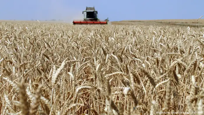 Deutschland Getreideernte