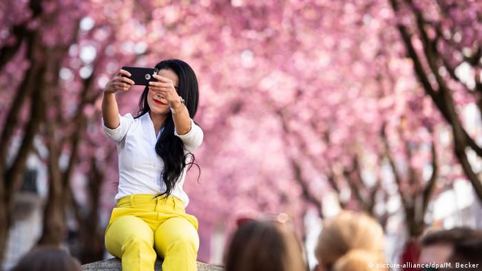 Woman takes a selfie in front of cherry blossoms in Bonn.
