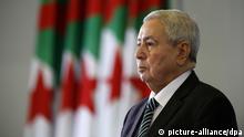 Argelia: presidente pide consenso para convocar a elecciones presidenciales