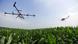 Drones lançam pesticidas sobre plantação de milho na China Drones lançam pesticidas sobre plantação de milho na China