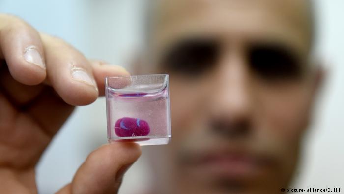 Israelische Wissenschaftler stellen erstes 3D-gedrucktes Herz vor
Israelische Wissenschaftler stellen erstes 3D-gedrucktes Herz vor