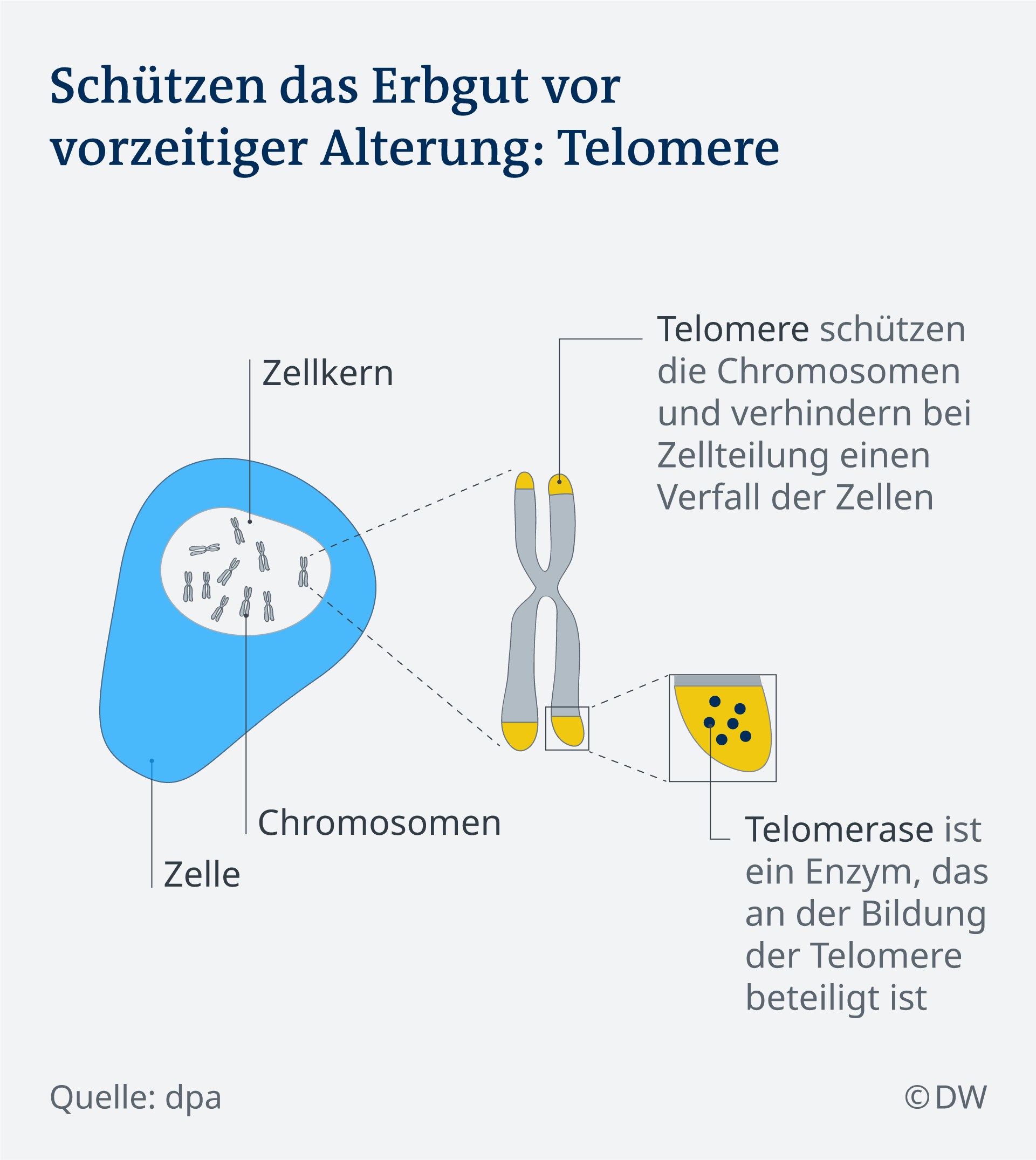 Funf Fakten Uber Den Tod Wissen Umwelt Dw 18 04 2019