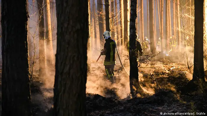 Waldbrand bei Oranienburg