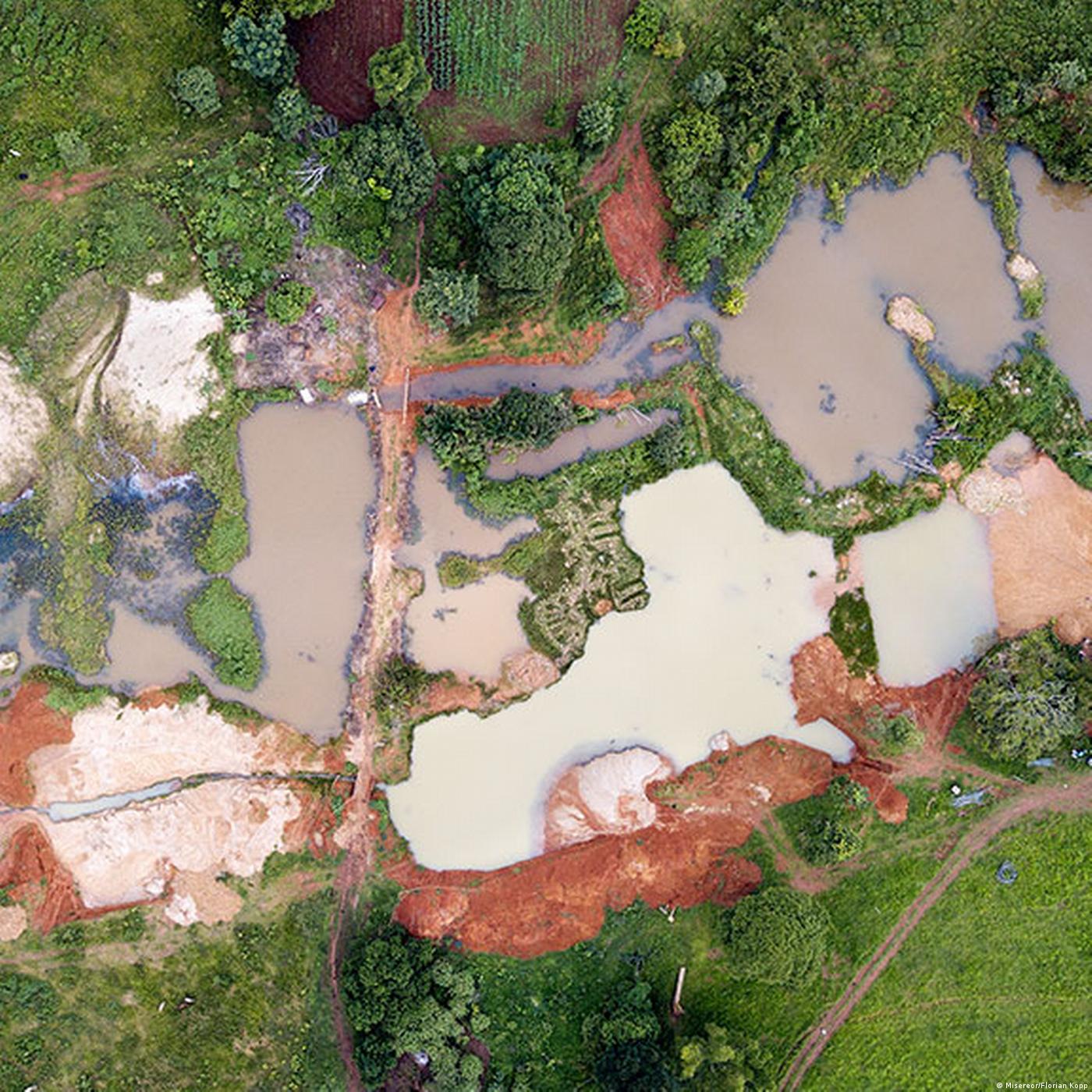 Living Planet: What's left of the Amazon?