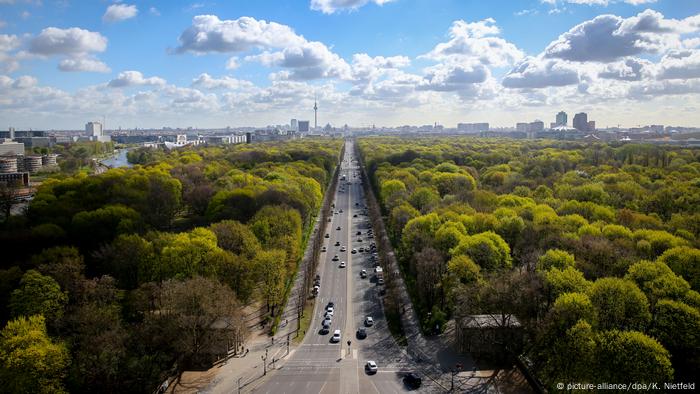 Warum Nachtigallen Berlin Lieben Wissen Umwelt Dw 03 05 2019