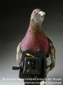 Голубь со шпионской камерой, фото из Международного музея шпионажа, Вашингтон
