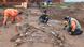 Human remains being excavated in Klessin