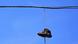 Boots hanging from electric cable Boots hanging from electric cable