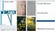 Book covers by Murnane, Sarid, Danyi, Melchor, Harwicz und Cixous Book covers by Murnane, Sarid, Danyi, Melchor, Harwicz und Cixous
