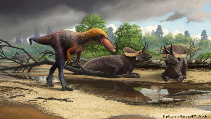 tyrannosaurus rex t rex evolved from
