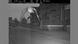 A speed camera image of a pigeon A speed camera image of a pigeon