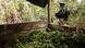 Foto de soldado cerca de un laboratorio de procesamiento de coca Foto de soldado cerca de un laboratorio de procesamiento de coca
