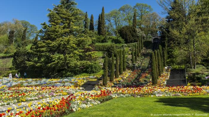 Mediterranean terrace on Mainau island