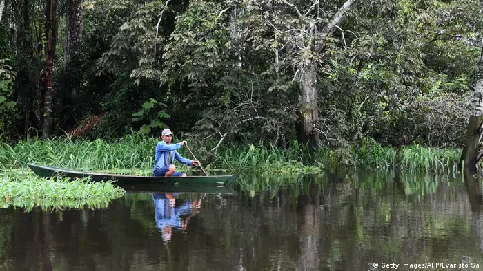 Brazil Amazon rainforest, man on a boat