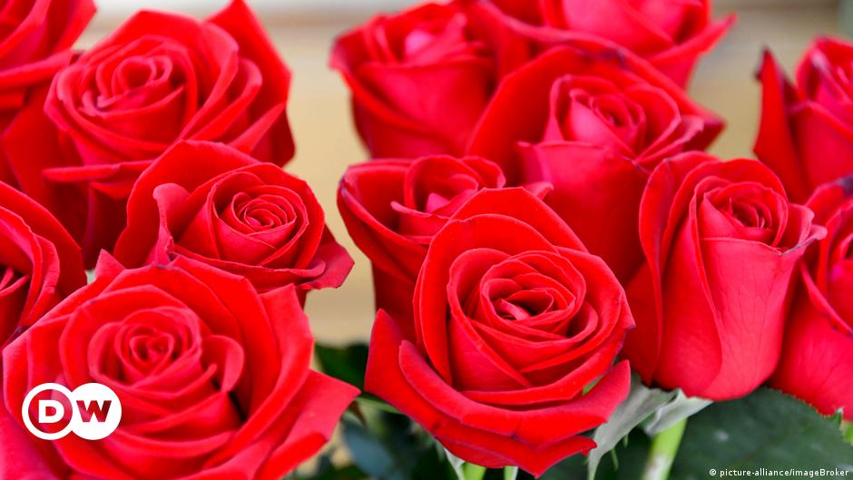 Rosas rojas para mamá, tarjetas rojas para la derecha | El Mundo | DW |  12.05.2019