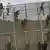 Migrants climb fence between Morocco and Melilla