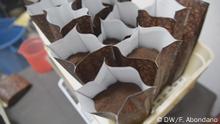 El auge de los cafés especiales: 