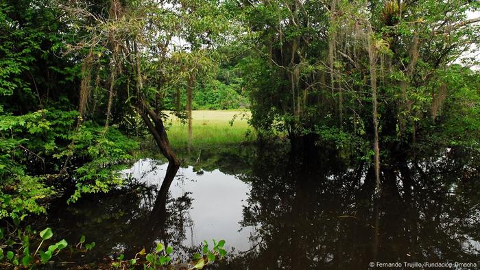 Biodiversität in Venezuela (Fernando Trujillo/Fundación Omacha)