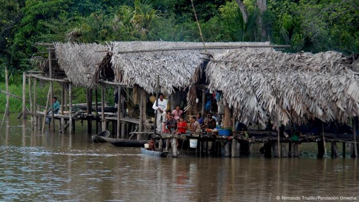 Biodiversität in Venezuela (Fernando Trujillo/Fundación Omacha)