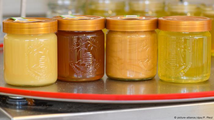 La miel consta de 200 ingredientes. En primavera y verano, las abejas recolectoras vuelan incansablemente hacia flores y hojas, chupan néctar y melaza (excreciones de pulgones), y recolectan polen. El edulcorante final que producen es apreciado también por los humanos, que crían abejas y cosechan su miel. A cambio, los animales reciben agua azucarada.