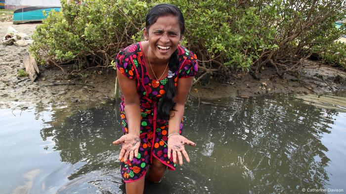 Sri Lanka: Kriegswitwen schützen wertvolle Mangroven ...