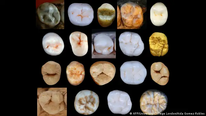 Zahnproben von Hominiden in Höhlenanlage Sima de los Huesos in Spanien gefunden