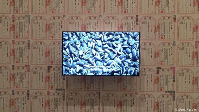 Ai Weiwei's Sunflower Seeds video with IOU notes (DW/S. Peschel)