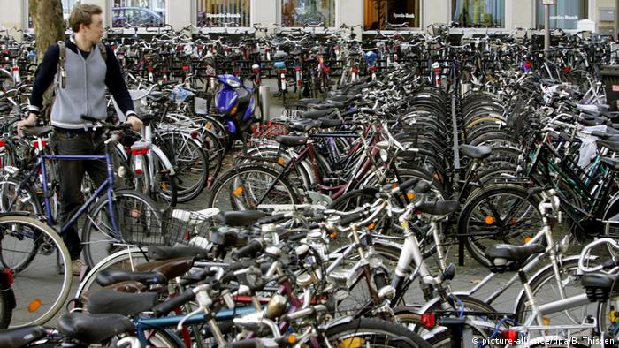 Ein Fahrradfahrer sucht in der Nähe des Hauptbahnhofes in Münster zwischen unzähligen Fahrrädern eine Abstellmöglichkeit für sein Zweirad (picture-alliance/dpa/B. Thissen)