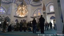 المجلس الأعلى للمسلمين لـDW: مسلمو ألمانيا يشعرون بالخذلان