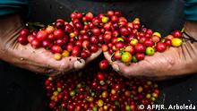 Kolumbien Kaffeekrise