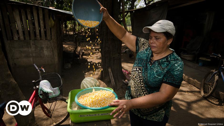 How Do Women Provide Food For Their Families In Nicaragua? 