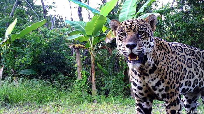 Venezuela | CIT | Forschung und Biodiversität in Venezuela