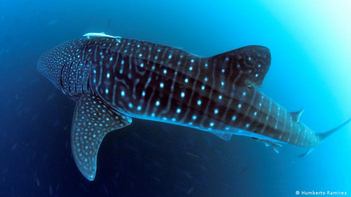 Venezuela | CIT | Forschung und Biodiversität in Venezuela