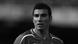 Fussballer Jose Antonio Reyes Fussballer Jose Antonio Reyes