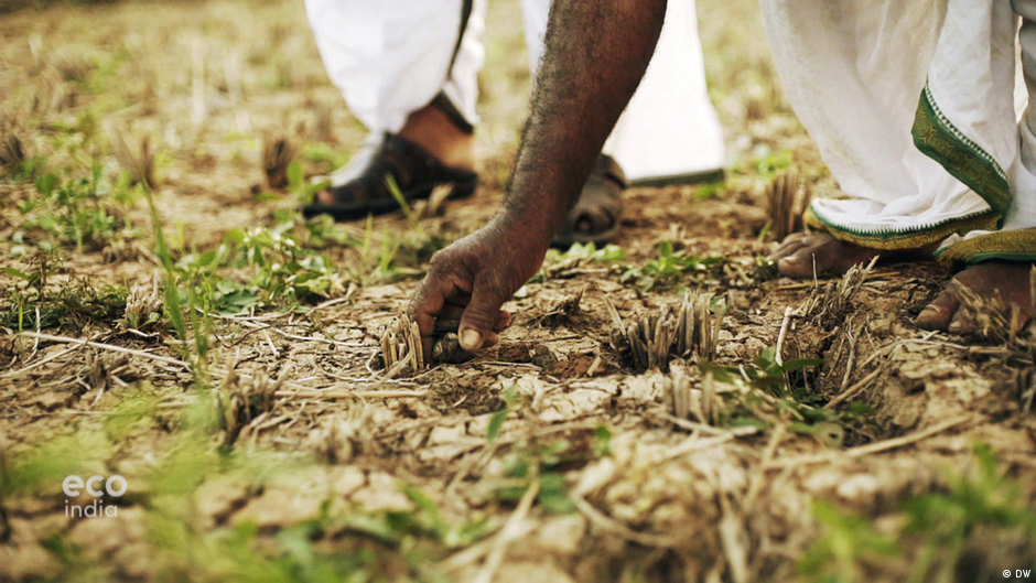 Equipping farmers to deal with drought
