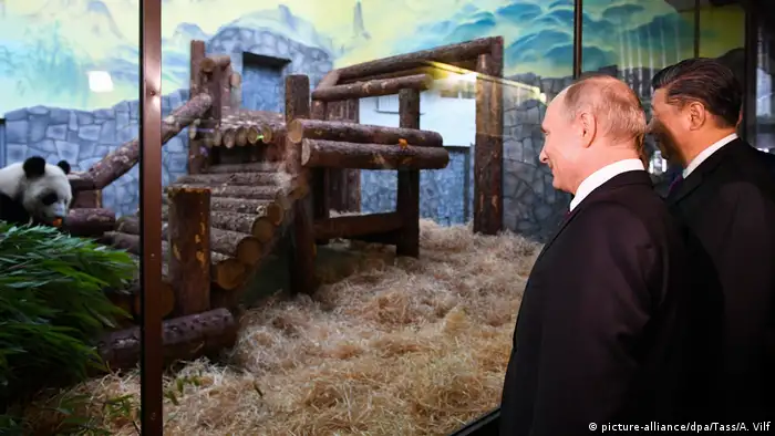 Russland Moskau | Präsidenten Wladimir Putin & Xi Jinping, China | Panda-Übergabe
