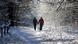 Adventskalender Bild 15 Adventskalender Bild 15