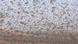 A swarm of locusts, in an archive image from Madagascar, 2013. A swarm of locusts, in an archive image from Madagascar, 2013.