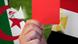 The Egyptian and Algerian flags The Egyptian and Algerian flags