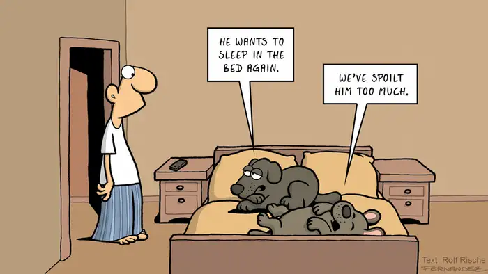 Fernandez cartoon: two dogs in a bed talk about their master being spoiled