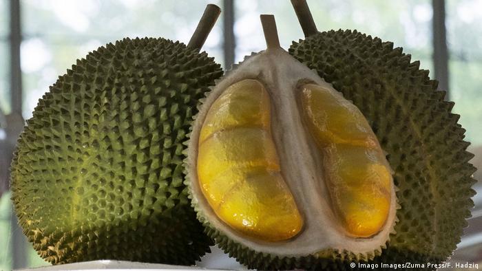 Un durián entero y otro partido.