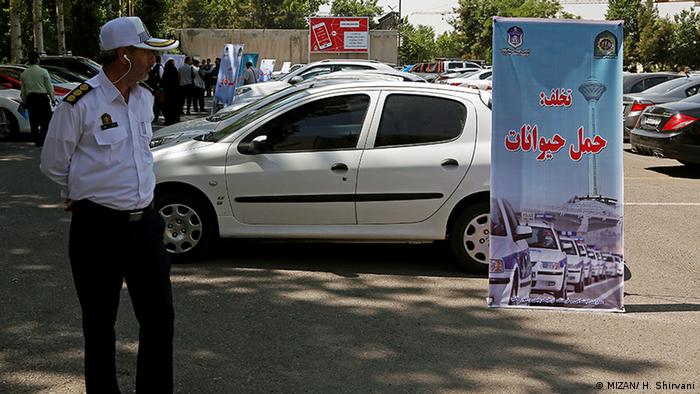 نیروی انتظامی می‌گوید طرح برخورد با سگ گردانی دنبال خواهد شد