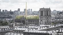 Future of Notre Dame Cathedral wide open