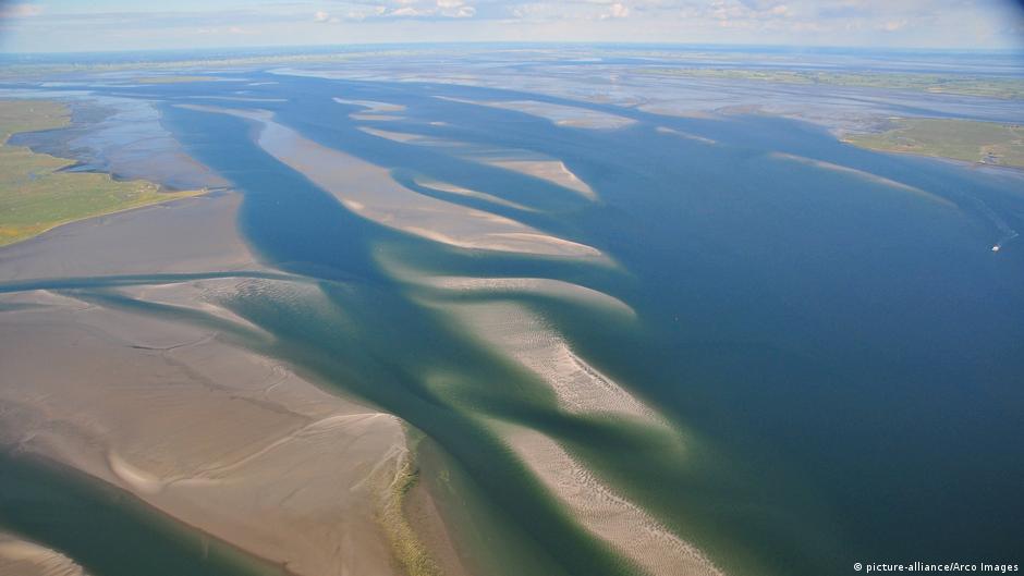 Wadden The Wadden Sea — a unique habitat between land and water