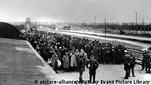 Arrival of Hungarian Jews in Auschwitz-Birkenau. Between May 2 and July 9, 1944 Hungarian gendarmerie officials, under the guidance of German SS officials deported more than 430,000 Hungarian Jews from Hungary, most of them to Auschwitz, Poland. - Date: June 1944 (Photograph from the Bilderwelt Collection) | Keine Weitergabe an Wiederverkäufer.