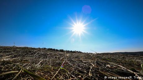 The sun shines from a blue sky on a mowed meadow 