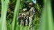 Mexiko Spezialeinheit Guardia Nacional Mexiko Spezialeinheit Guardia Nacional